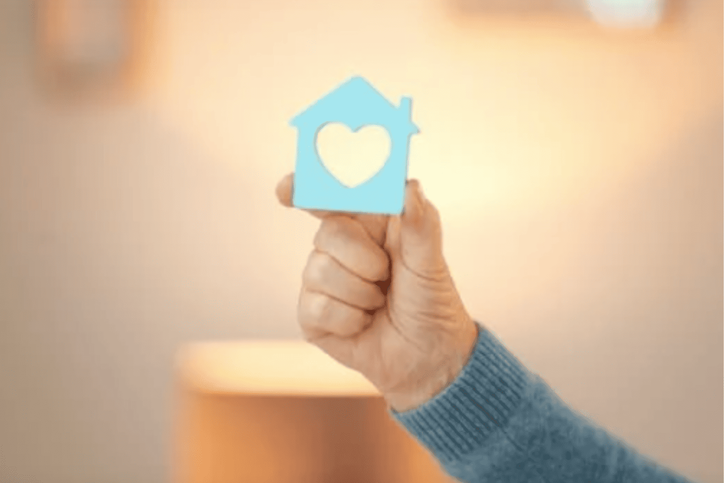 Visita domiciliar geriatra